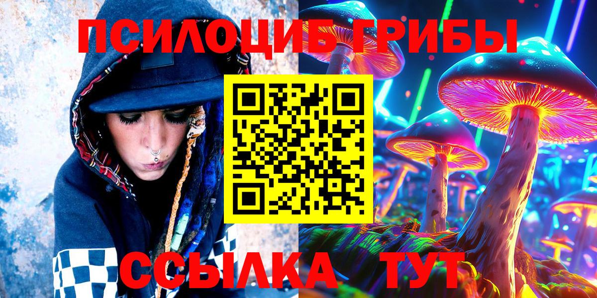 Псилоцибиновые грибы Psilocybe  Вход с VPN  Шебекино 
